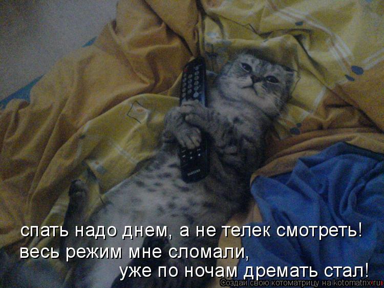 Стала спать днем Стала спать днем