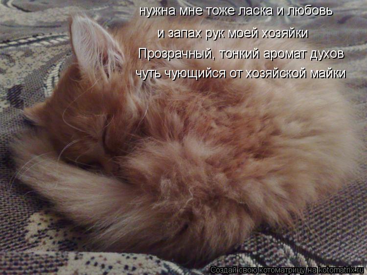и запах рук моей хозяйки нужна мне тоже ласка и любовь Прозрачный, тонкий аромат духов чуть чующийся ... Котоматрица: и запах рук моей хозяйки нужна мне тоже ласка и любовь Прозрачный, тонкий аромат духов чуть чующийся от хозяйской майки