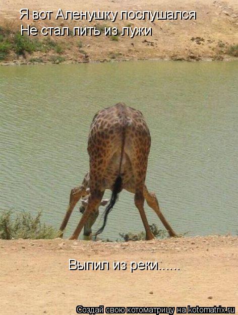 Я вот Аленушку послушался Не стал пить из лужи Выпил из реки......... Котоматрица: Я вот Аленушку послушался Не стал пить из лужи Выпил из реки......