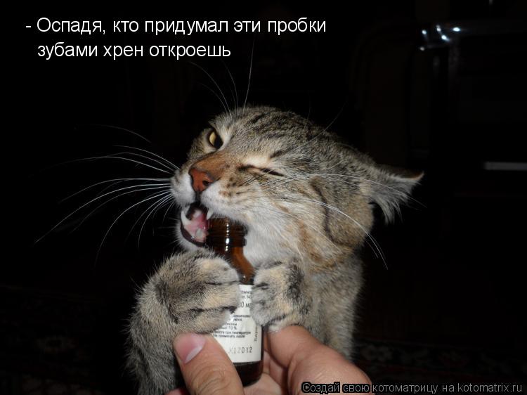 - Оспадя, кто придумал эти пробки зубами хрен откроешь... Котоматрица: - Оспадя, кто придумал эти пробки зубами хрен откроешь