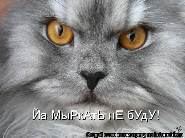 Йа МыРкАтЬ нЕ бУдУ!... Котоматрица: Йа МыРкАтЬ нЕ бУдУ!