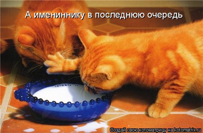 А имениннику в последнюю очередь... Котоматрица: А имениннику в последнюю очередь