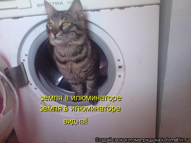 Котоматрица: земля в илюминаторе  земля в илюминаторе  видна!
