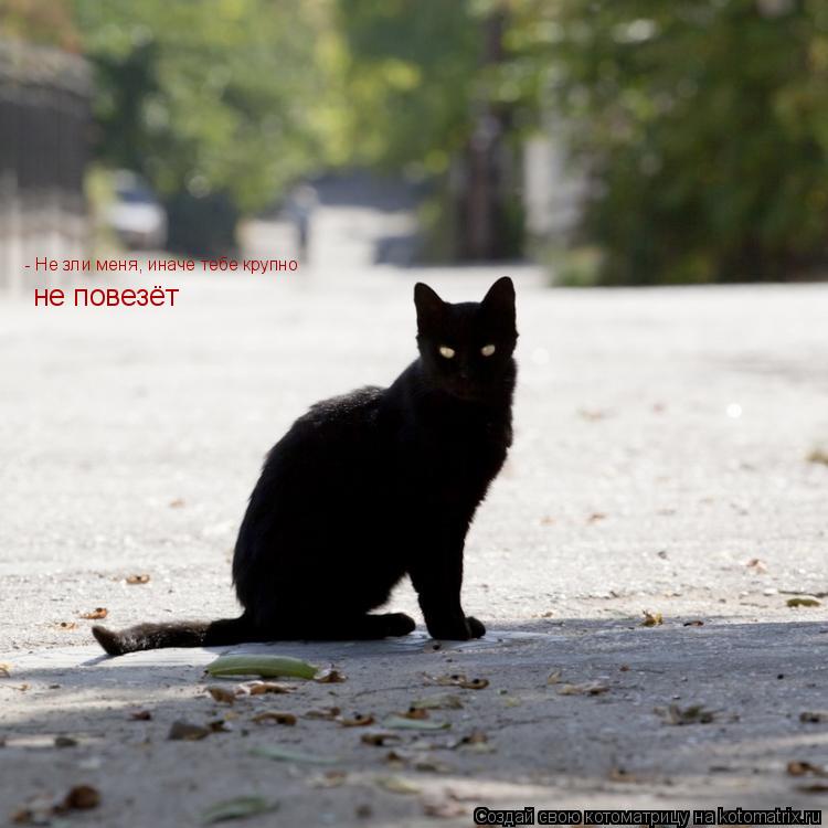 - Не зли меня, иначе тебе крупно не повезёт... Котоматрица: - Не зли меня, иначе тебе крупно не повезёт