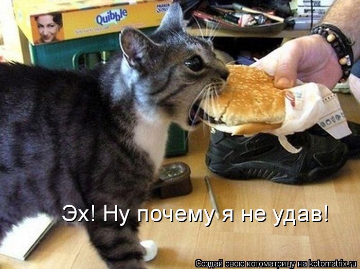 Котоматрица: Эх! Ну почему я не удав!