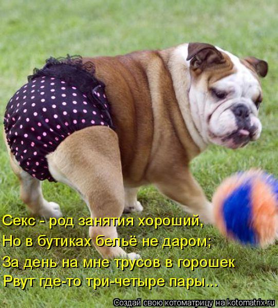 Котоматрица: Рвут где-то три-четыре пары...  За день на мне трусов в горошек Но в бутиках бельё не даром; Секс - род занятия хороший,