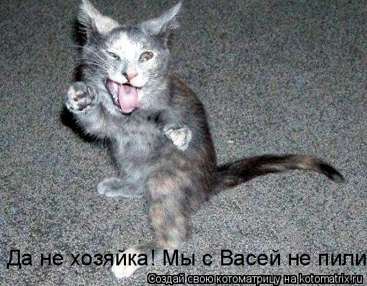 Котоматрица: Да не хозяйка! Мы с Васей не пили