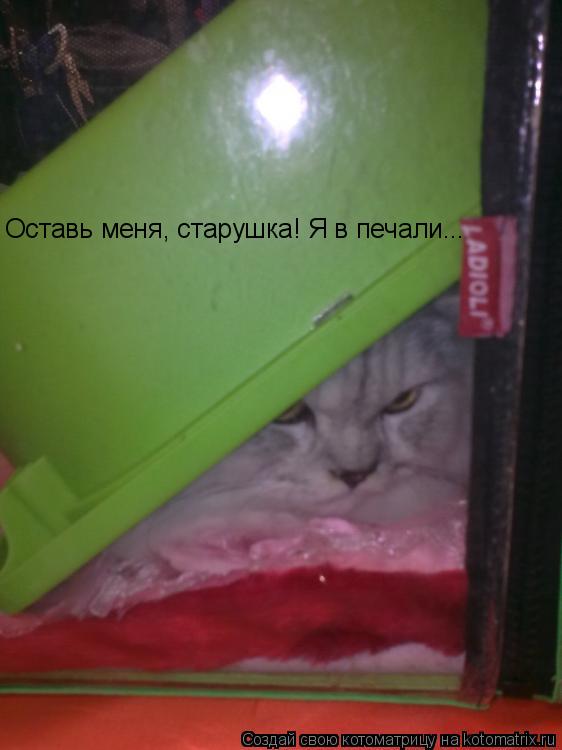 Котоматрица: Оставь меня, старушка! Я в печали...