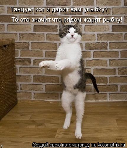 Котоматрица: Танцует кот и дарит вам улыбку? То это значит,что рядом жарят рыбку!