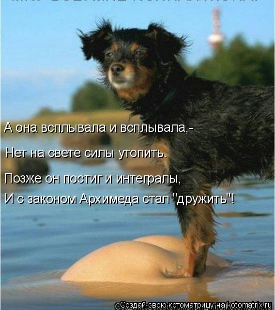 Котоматрица: А она всплывала и всплывала,- Нет на свете силы утопить. Позже он постиг и интегралы, И с законом Архимеда стал "дружить"!