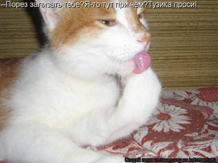 Котоматрица: --Порез зализать тебе?Я-то тут при чём?Тузика проси!