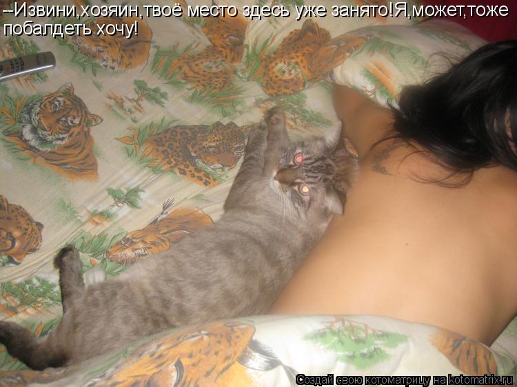 Котоматрица: --Извини,хозяин,твоё место здесь уже занято!Я,может,тоже побалдеть хочу!
