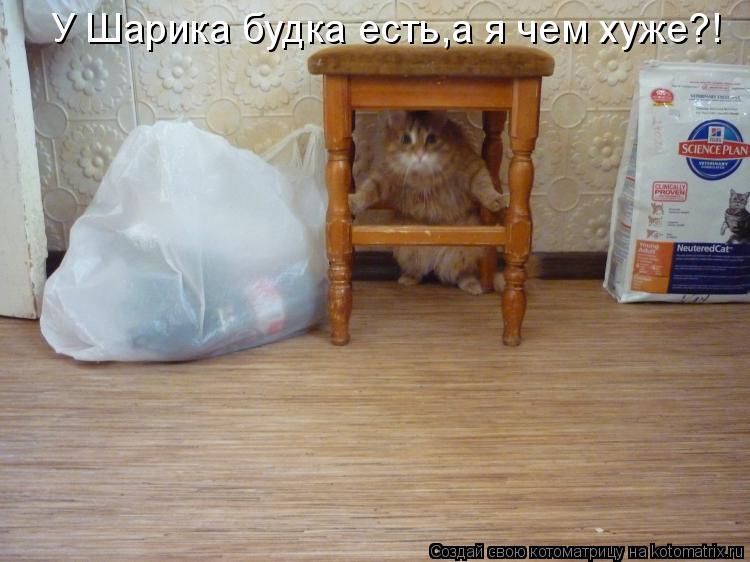 Котоматрица: У Шарика будка есть,а я чем хуже?!