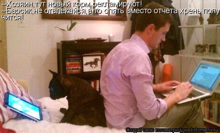 Котоматрица: --Хозяин,тут новый корм рекламируют! --Барсик,не отвлекайся,а то опять вместо отчёта хрень полу- чится!