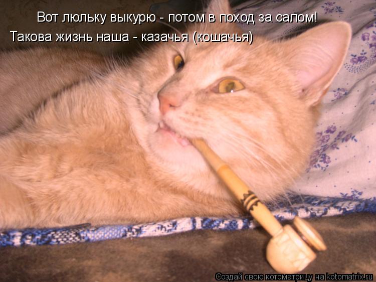 Котоматрица: Вот люльку выкурю - потом в поход за салом! Такова жизнь наша - казачья (кошачья)