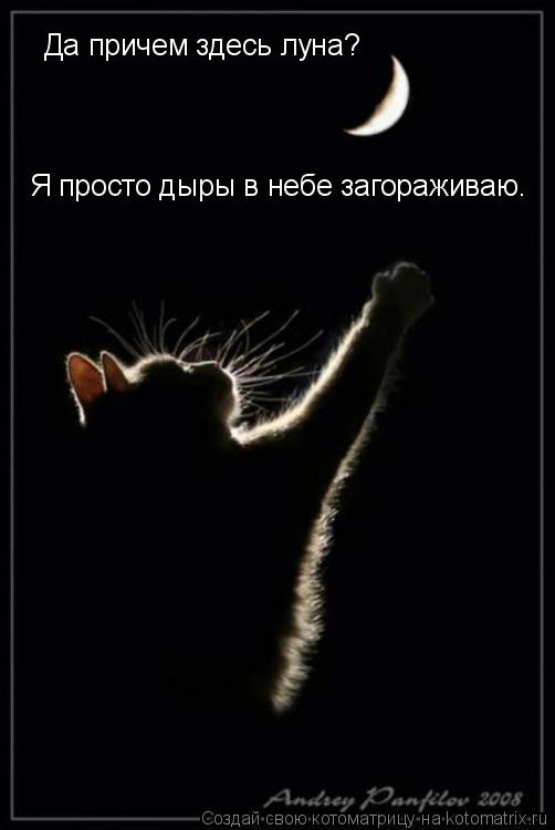 Да причем здесь луна? Я просто дыры в небе загораживаю.... Котоматрица: Да причем здесь луна? Я просто дыры в небе загораживаю.
