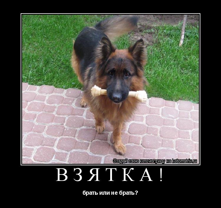 взятка! брать или не брать?... Котоматрица: взятка! брать или не брать?