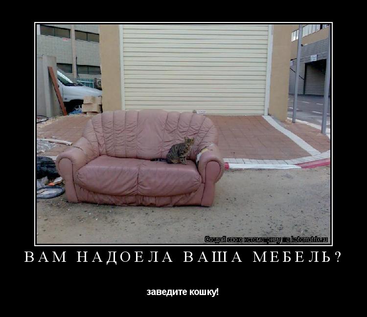 Котоматрица: вам надоела ваша мебель? заведите кошку!