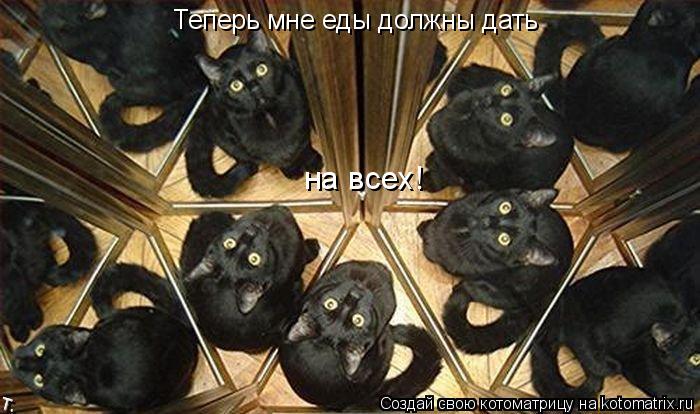 Теперь мне еды должны дать на всех!... Котоматрица: Теперь мне еды должны дать на всех!