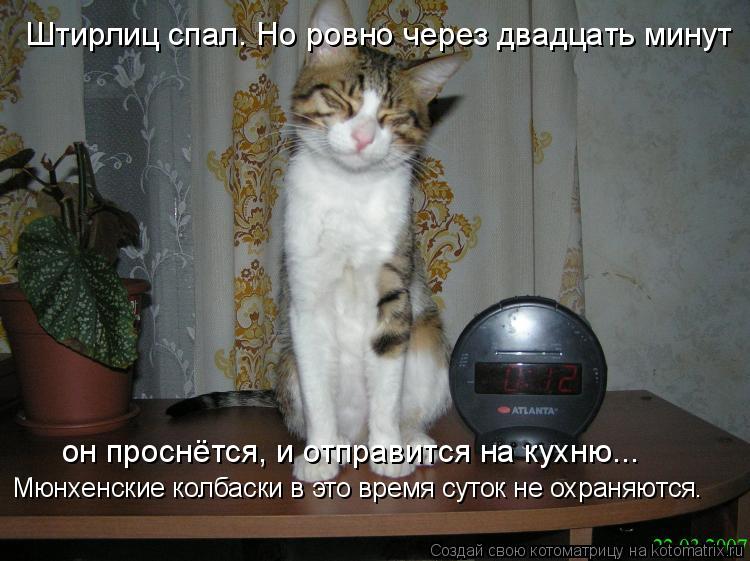 Штирлиц спал. Но ровно через двадцать минут он проснётся, и отправится на кухню... Мюнхенские колбаск... Котоматрица: Штирлиц спал. Но ровно через двадцать минут он проснётся, и отправится на кухню... Мюнхенские колбаски в это время суток не охраняются.
