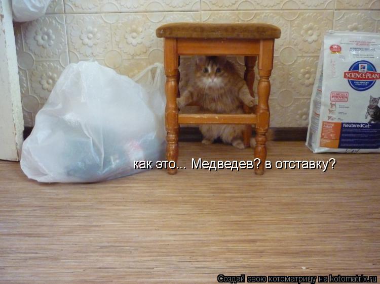 как это... Медведев? в отставку?... Котоматрица: как это... Медведев? в отставку?