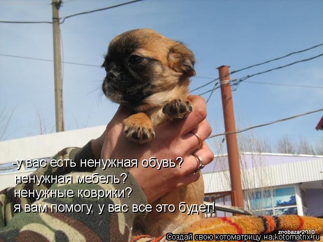 -у вас есть ненужная обувь? ненужная мебель? ненужные коврики? я вам помогу, у вас все это будет!... Котоматрица: -у вас есть ненужная обувь? ненужная мебель? ненужные коврики? я вам помогу, у вас все это будет!