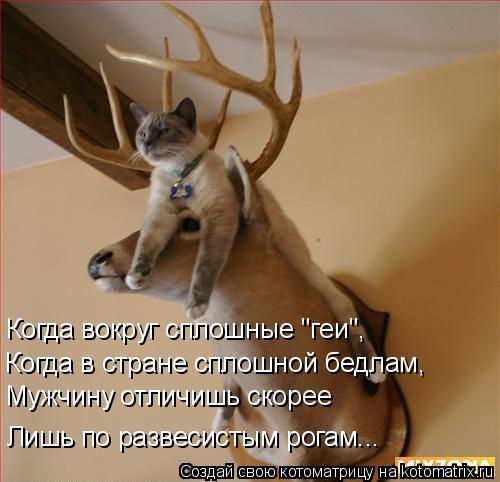 Лишь по развесистым рогам... Когда в стране сплошной бедлам, Когда вокруг сплошные "геи", Мужчину отл... Котоматрица: Лишь по развесистым рогам... Когда в стране сплошной бедлам, Когда вокруг сплошные "геи", Мужчину отличишь скорее