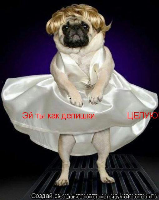 Эй ты как делишки. ЦЕЛУЮ!!!!... Котоматрица: Эй ты как делишки. ЦЕЛУЮ!!!!