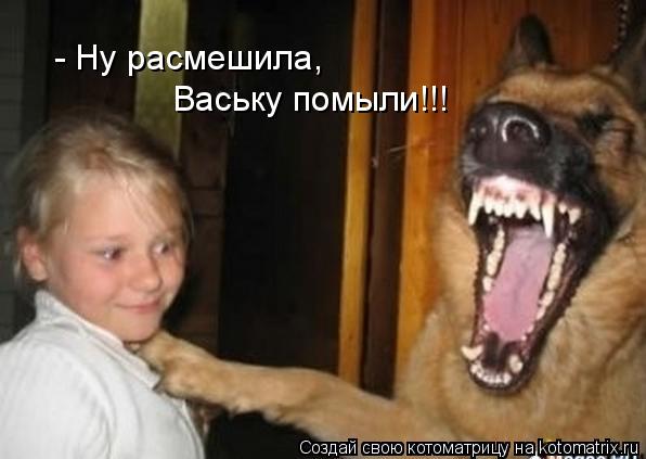 Ваську помыли!!! - Ну расмешила,... Котоматрица: Ваську помыли!!! - Ну расмешила,