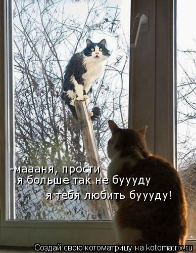 -маааня, прости я больше так не буууду я тебя любить буууду!... Котоматрица: -маааня, прости я больше так не буууду я тебя любить буууду!
