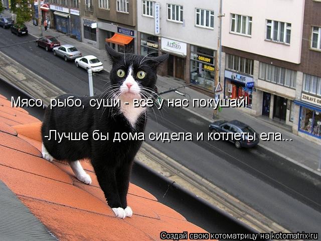 Котоматрица: Мясо, рыбо, суши - всё у нас покушай! -Лучше бы дома сидела и котлеты ела...