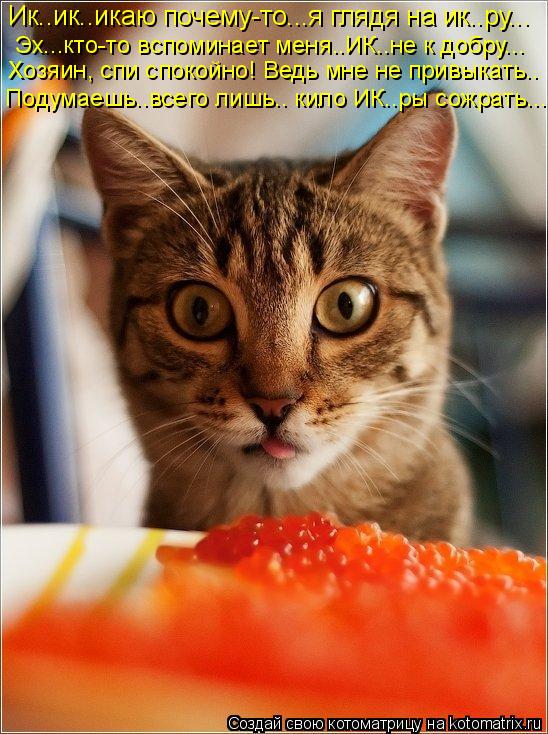 Ик..ик..икаю почему-то...я глядя на ик..ру... Эх...кто-то вспоминает меня..ИК..не к добру... Хозяин, ... Котоматрица: Ик..ик..икаю почему-то...я глядя на ик..ру... Эх...кто-то вспоминает меня..ИК..не к добру... Хозяин, спи спокойно! Ведь мне не привыкать.. Подумаешь..