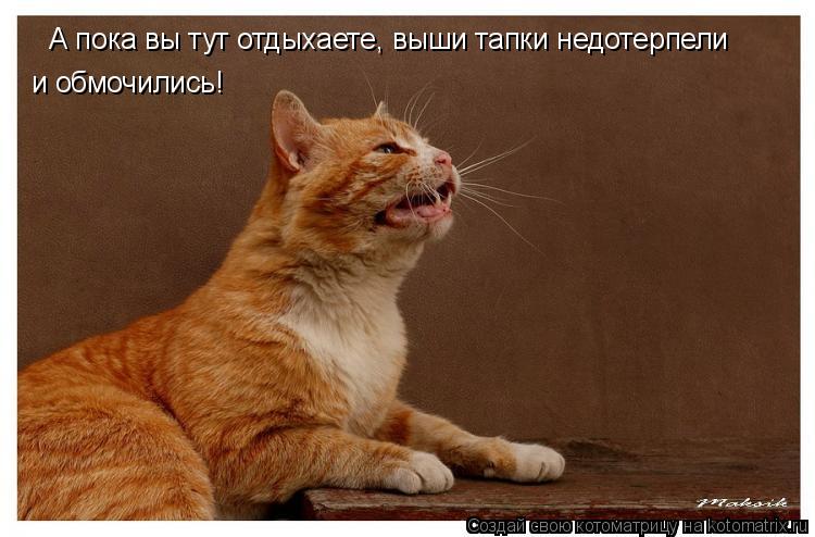 А пока вы тут отдыхаете, выши тапки недотерпели и обмочились!... Котоматрица: А пока вы тут отдыхаете, выши тапки недотерпели и обмочились!