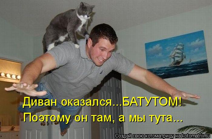 Котоматрица: Диван оказался...БАТУТОМ! Поэтому он там, а мы тута...