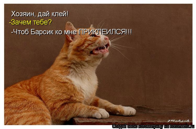 Хозяин, дай клей! -Зачем тебе? -Чтоб Барсик ко мне ПРИКЛЕИЛСЯ!!!... Котоматрица: Хозяин, дай клей! -Зачем тебе? -Чтоб Барсик ко мне ПРИКЛЕИЛСЯ!!!