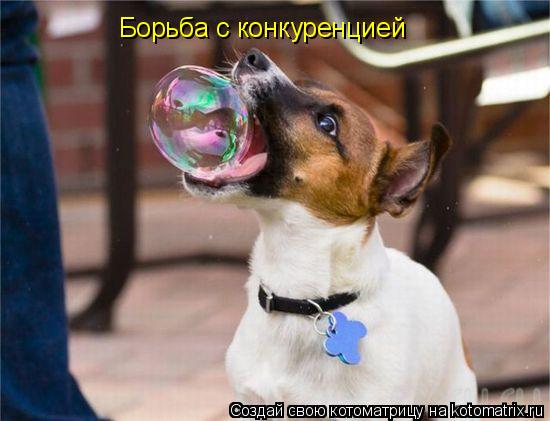 Котоматрица: Борьба с конкуренцией