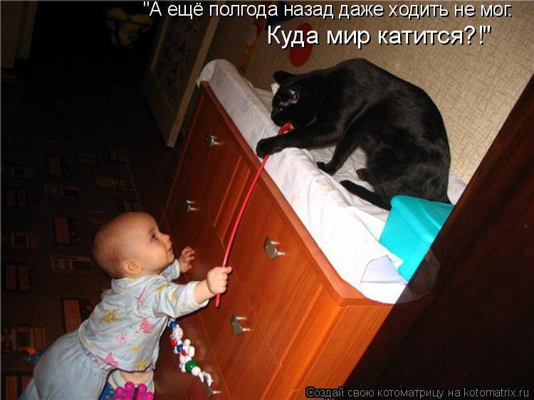 Котоматрица: "А ещё полгода назад даже ходить не мог. Куда мир катится?!"