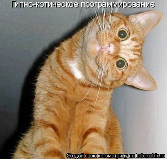 Гипно-котическое программирование... Котоматрица: Гипно-котическое программирование