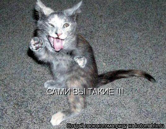 САМИ ВЫ ТАКИЕ !!!... Котоматрица: САМИ ВЫ ТАКИЕ !!!