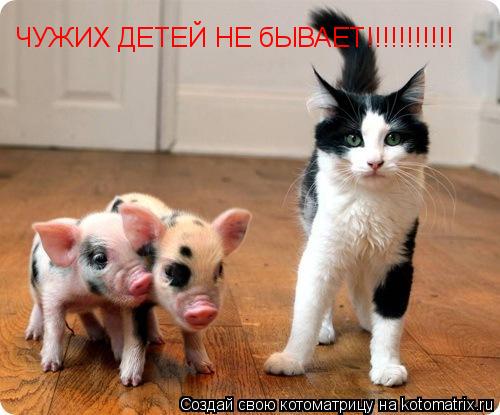 ЧУЖИХ ДЕТЕЙ НЕ бЫВАЕТ!!!!!!!!!!!... Котоматрица: ЧУЖИХ ДЕТЕЙ НЕ бЫВАЕТ!!!!!!!!!!!