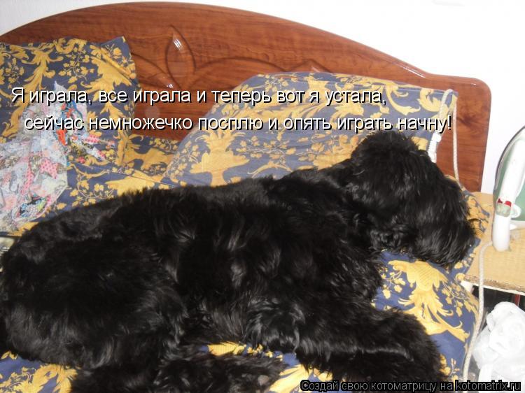 сейчас немножечко посплю и опять играть начну! Я играла, все играла и теперь вот я устала,... Котоматрица: сейчас немножечко посплю и опять играть начну! Я играла, все играла и теперь вот я устала,