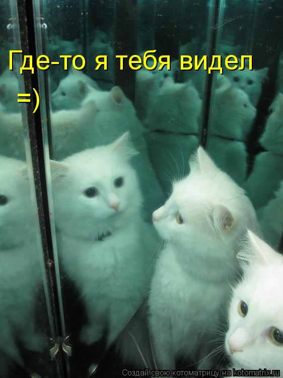Котоматрица: Где-то я тебя видел Где-то я тебя видел =)