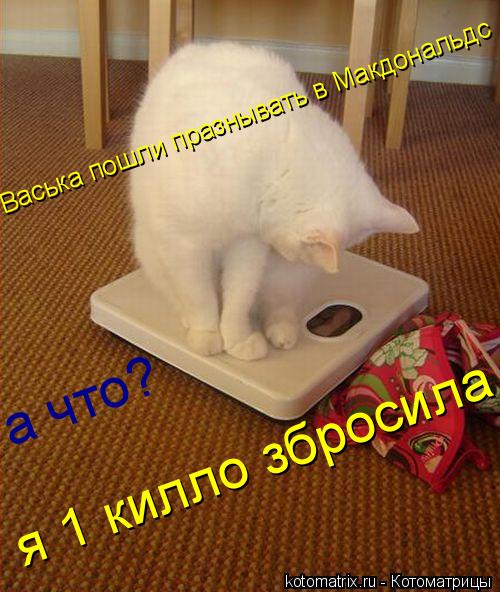 Котоматрица: Васька пошли празнывать в Макдональдс а что? я 1 килло збросила