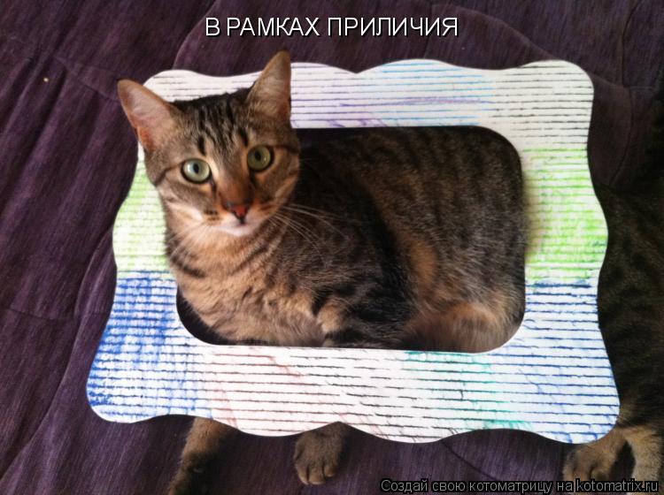Котоматрица: В РАМКАХ ПРИЛИЧИЯ