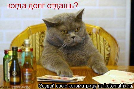 Котоматрица: когда долг отдашь?