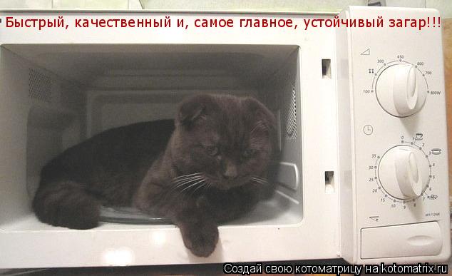 Быстрый, качественный и, самое главное, устойчивый загар!!!... Котоматрица: Быстрый, качественный и, самое главное, устойчивый загар!!!