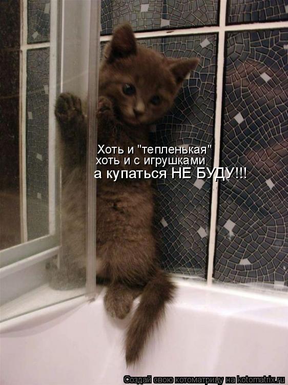 Котоматрица: Хоть и "тепленькая" хоть и с игрушками а купаться НЕ БУДУ!!!