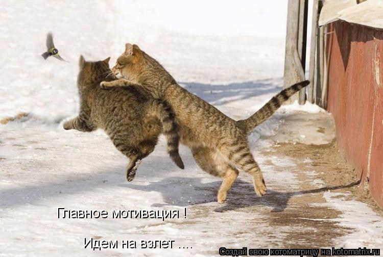 Главное мотивация ! Идем на взлет ....... Котоматрица: Главное мотивация ! Идем на взлет ....