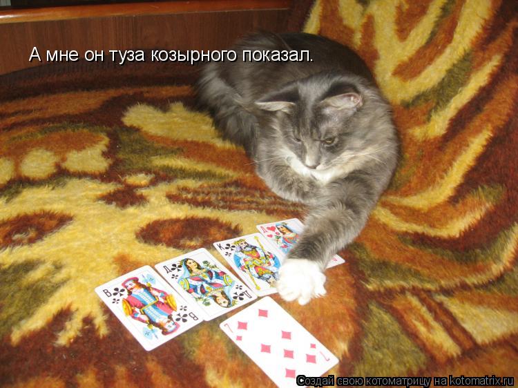 Котоматрица: А мне он туза козырного показал.