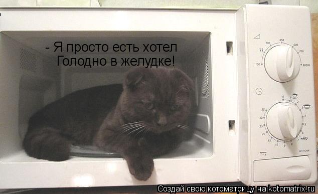 Котоматрица: - Я просто есть хотел Голодно в желудке!